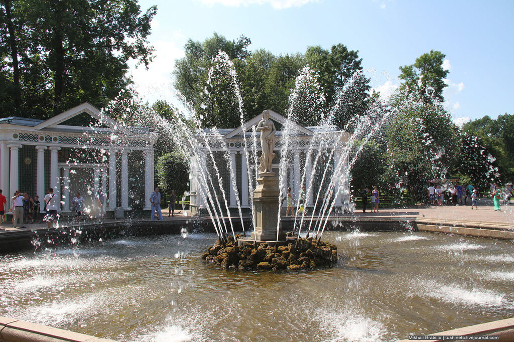 Яндекс фото.