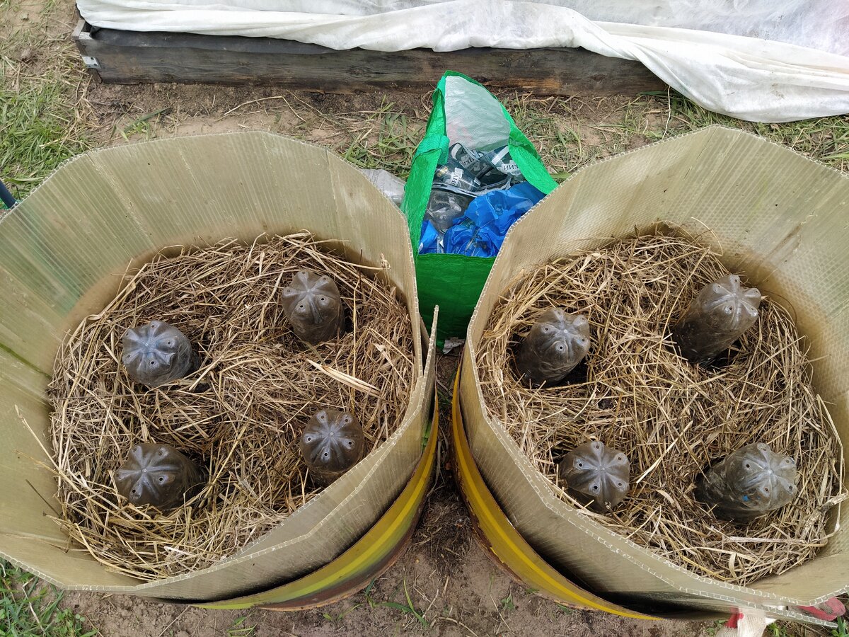 Посадка 17.05.20