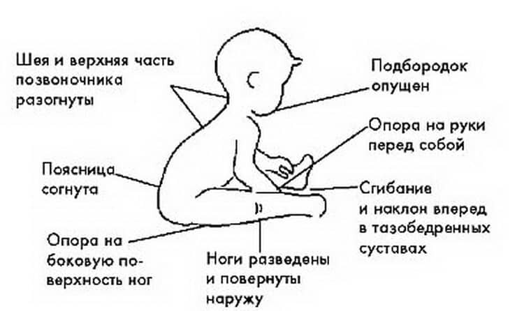 Когда можно сажать ребенка? Проверьте, готов ли малыш сидеть!