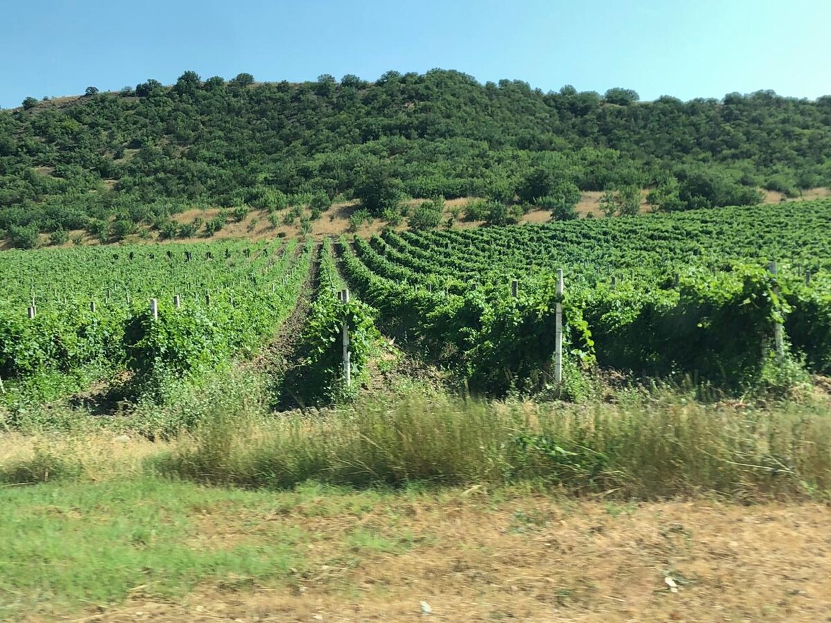 Бесконечные ряды! 