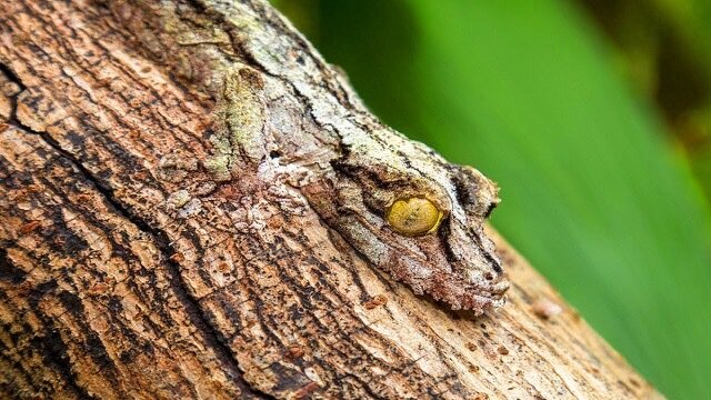 Источник: Яндекс Картинки