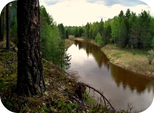 Кильмезь. Яндекс.картинки.Обработка моя