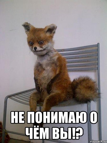 Картинка из открытых источников в интернете