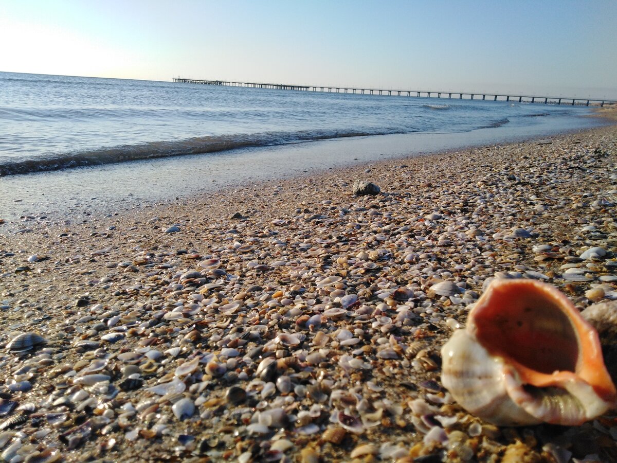 Выходит ли Воронежская область к морю к морю