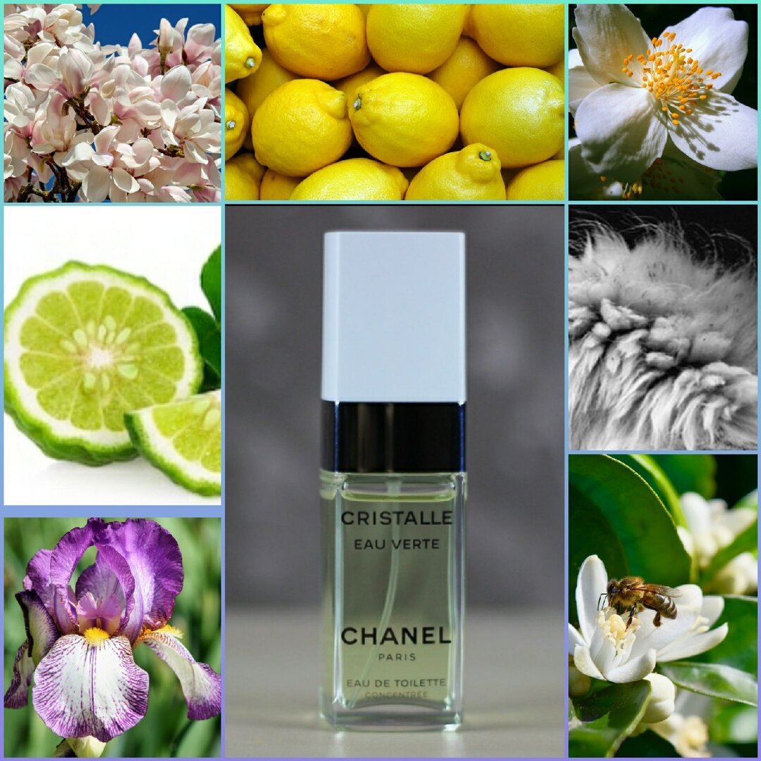 Сhanel Cristalle Eau Verte в обрамлении парфюмерных нот (Фото из личных и свободных источников)