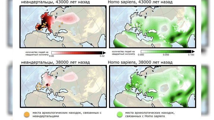 Результаты моделирования плотности населения у Homo sapiens и неандертальцев.Иллюстрация Institute for Basic Science.