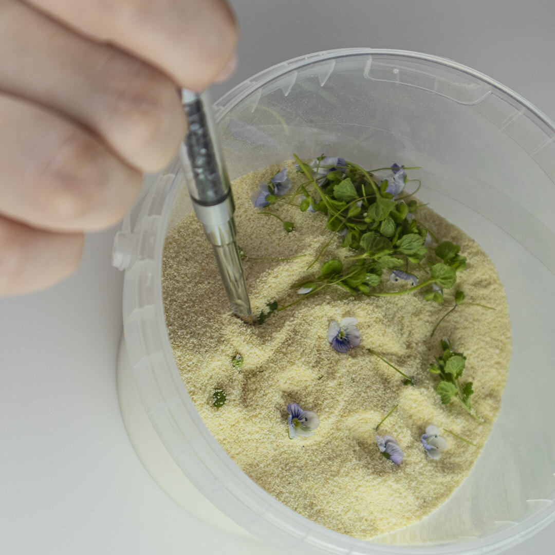 Фото Михаила Анатольевича Минина