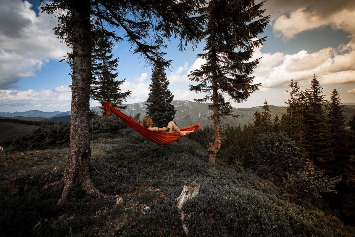 Фотография из общедоступных открытых источников (unsplash). 