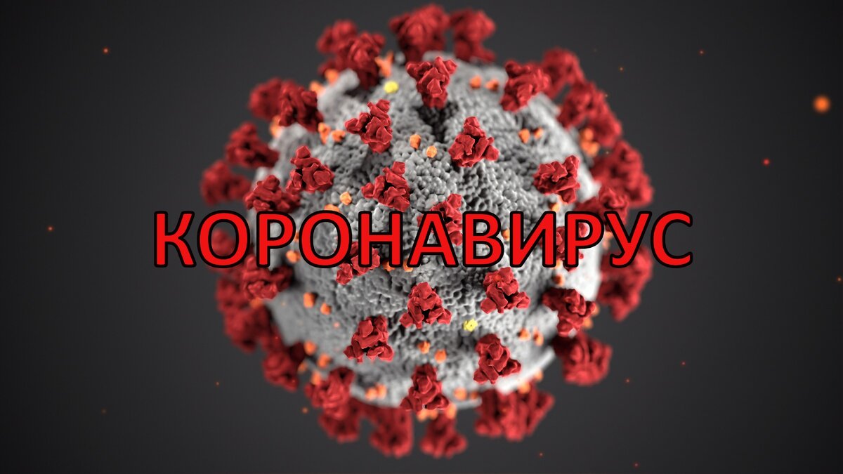 Причина нашей затянувшейся самоизоляции