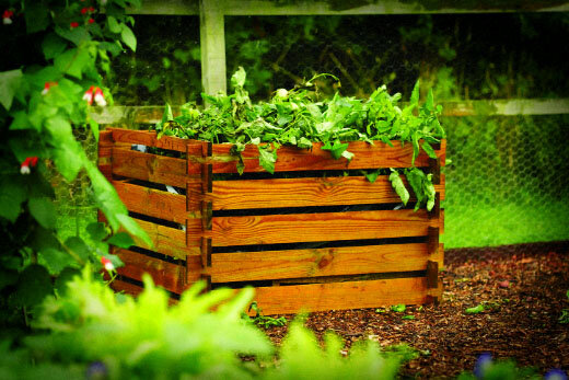 Компостная куча