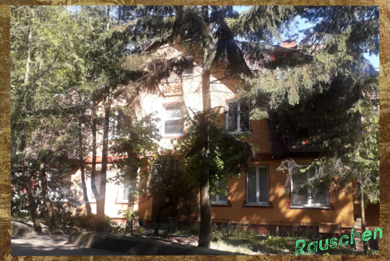 Дом 1928 г. постройки