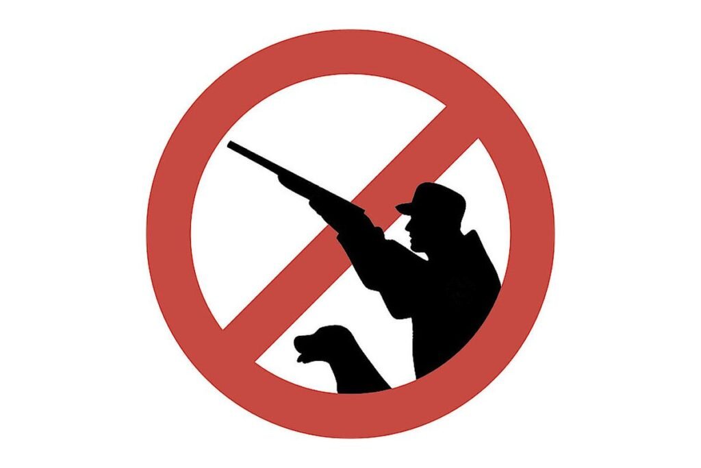 25 лет запрета. Знак охота запрещена. Значок запрета на охоту. Запрет на охоту, картинки. Знак охота на животных запрещена.