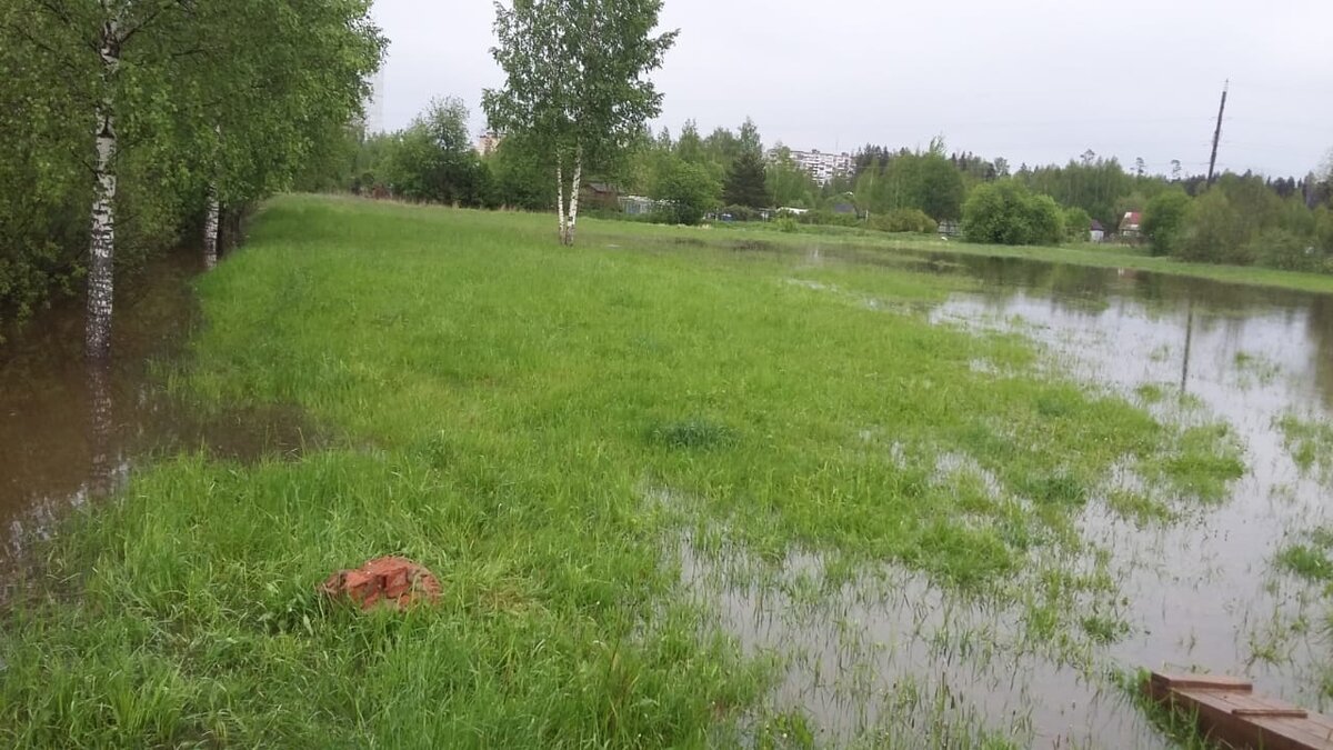 За выходные был залит весь луг вдоль береговой линии, получилась такая картина