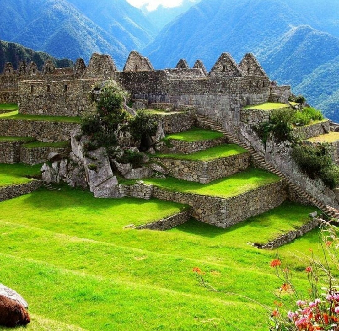 Петергоф (дворцово-парковый ансамбль). Царицыно (дворцово-парковый ансамбль). Большой петергофский дворец в санкт-петербурге растрелли. Александрийский сад. Дворец земледельцев казань.