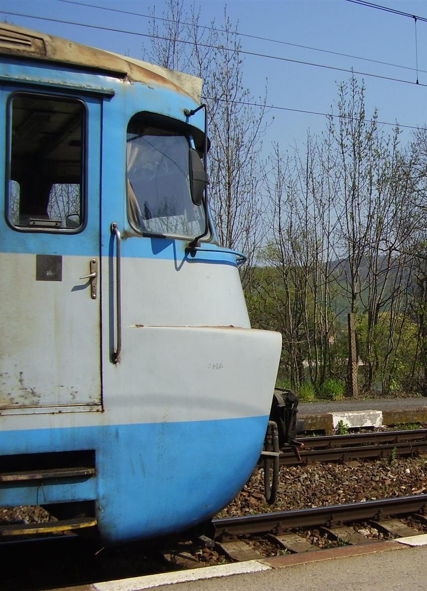 "Лягушкорот"