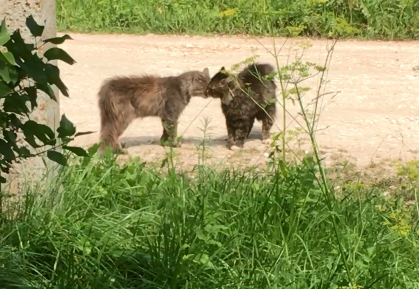 Кадр из видео