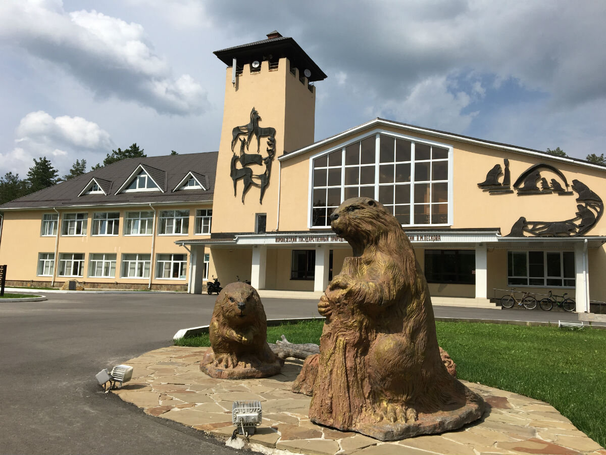 Воронежский заповедник. Воронежский биосферный заповедник Бобровый городок. Воронежский биосферный заповедник Бобровый городок в графском. Воронежский государственный биосферный заповедник музей Пескова. Музей природы Воронежского биосферного заповедника.