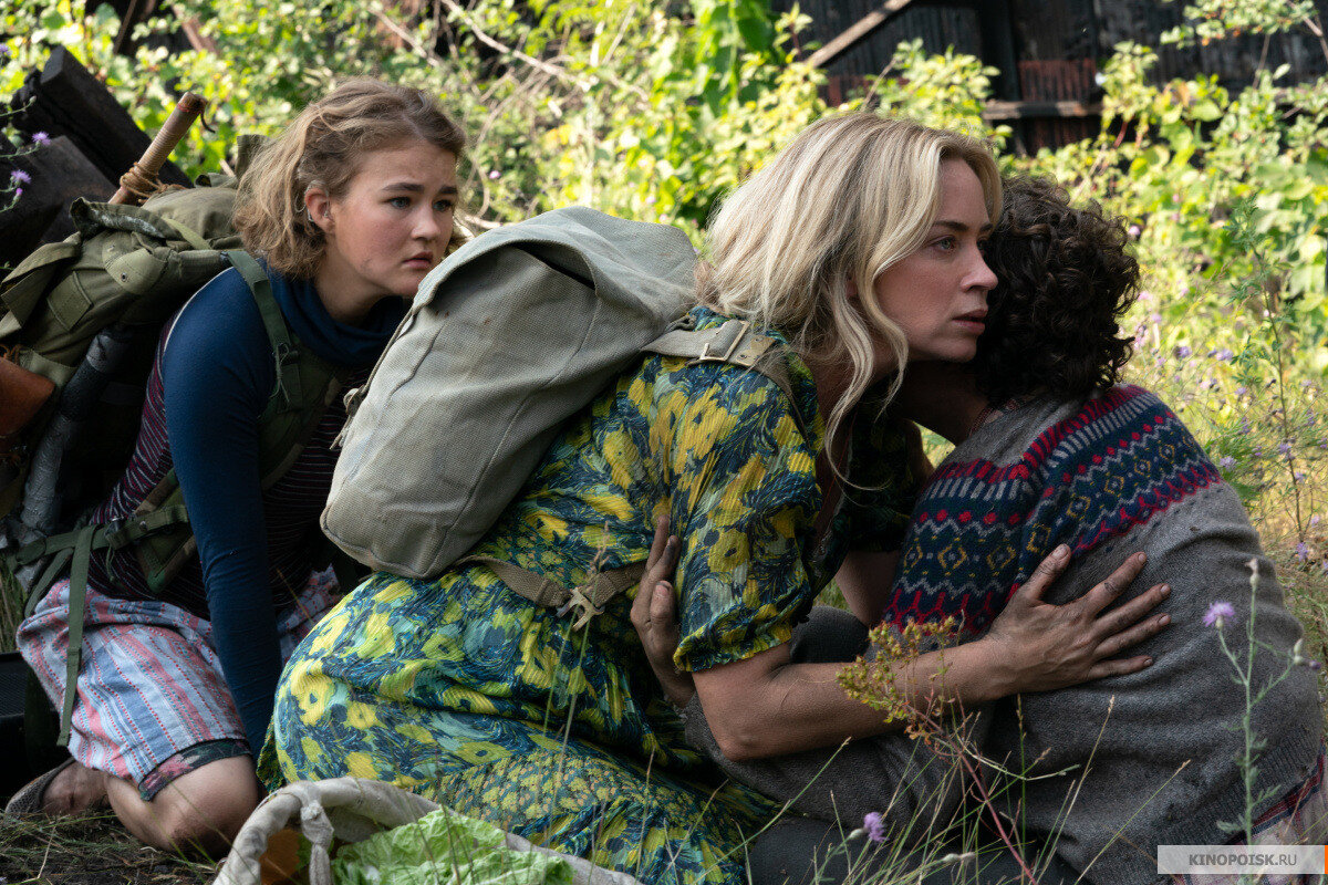 Простая американская семья живет на вроде бы обычной ферме. Однако есть одно «но»: как только в доме появляется какой-либо звук, просыпаются жуткие монстры, слепые и беспощадные. Никто не знает, откуда они взялись и как с ними бороться. Для того чтобы выжить, семье приходится жить в полнейшей тишине. Но как же ее соблюдать, если в доме есть маленькие дети? 