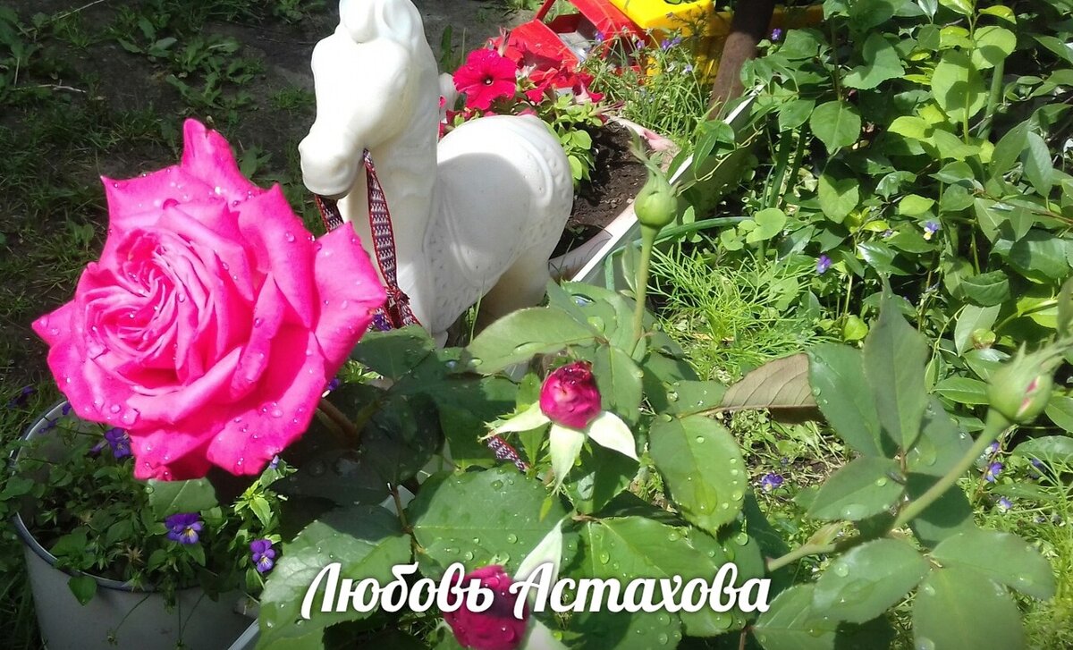 Находясь в активном поиске "своих" людей, мы всё дальше уходим от себя. Только обнаружив себя, всё остальное становится на место. 
