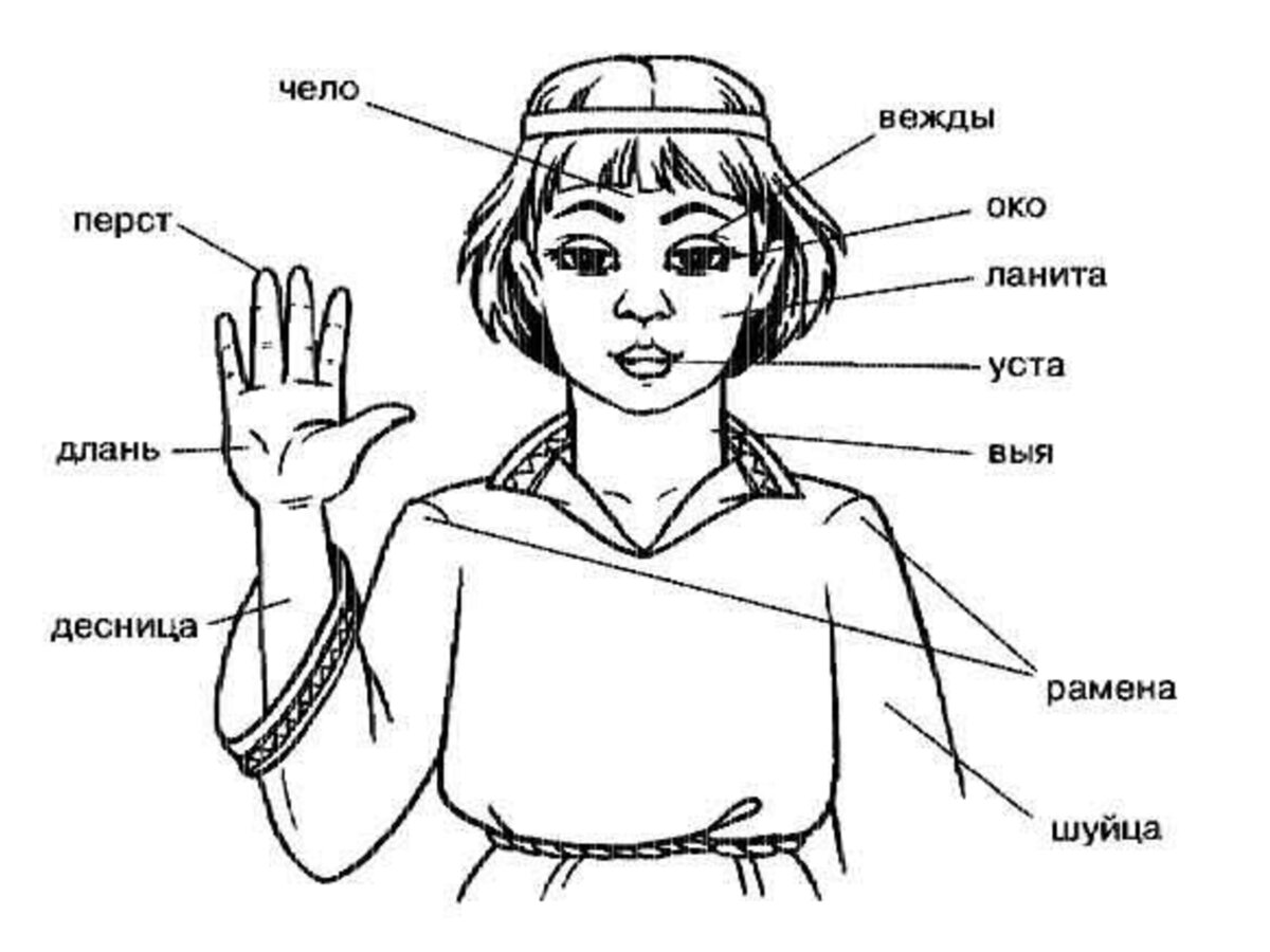 Очи», «чело», «перста», «уста»… Почему мы понимаем эти слова, но очень  редко употребляем их в речи? | Нескучные истории Людмилы Грицай | Дзен