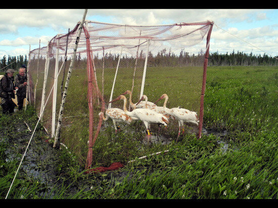  
Фото: пресс-служба правительства ЯНАО