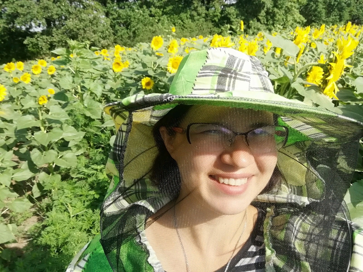 Я на пасеке. За мной поле подсолнухов, а дальше акациевый лес.