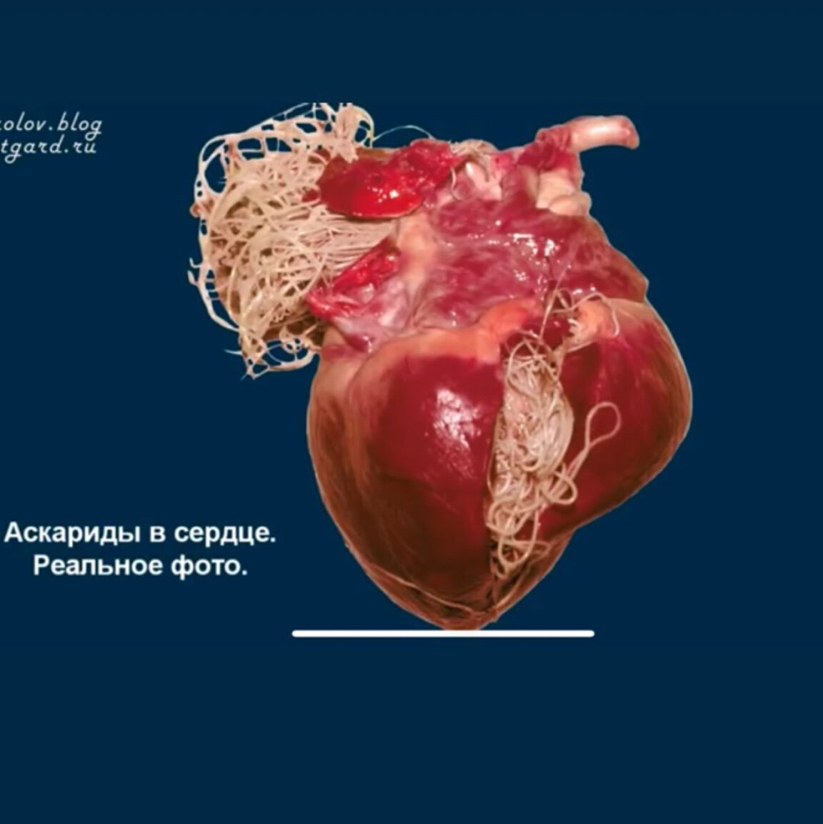 Бывает и такое