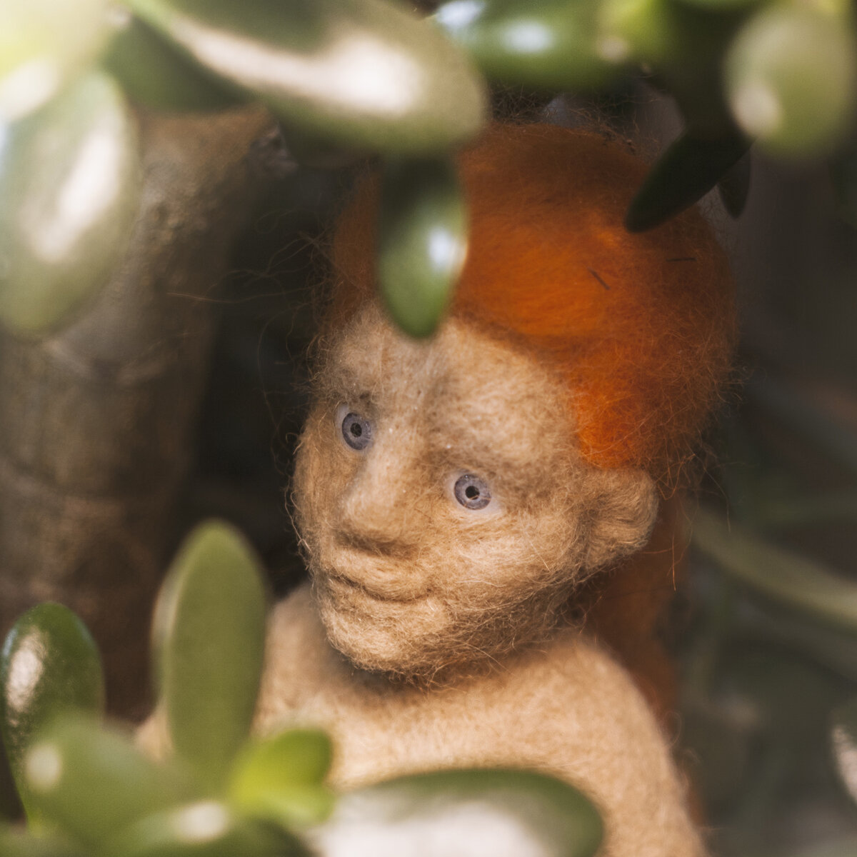 Зима была однако... Только обезьянье дерево в доступе. Ну из песни слова не выкинешь! фото из семейного архива