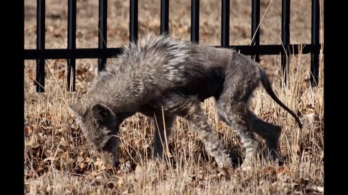 фото из открытого источника