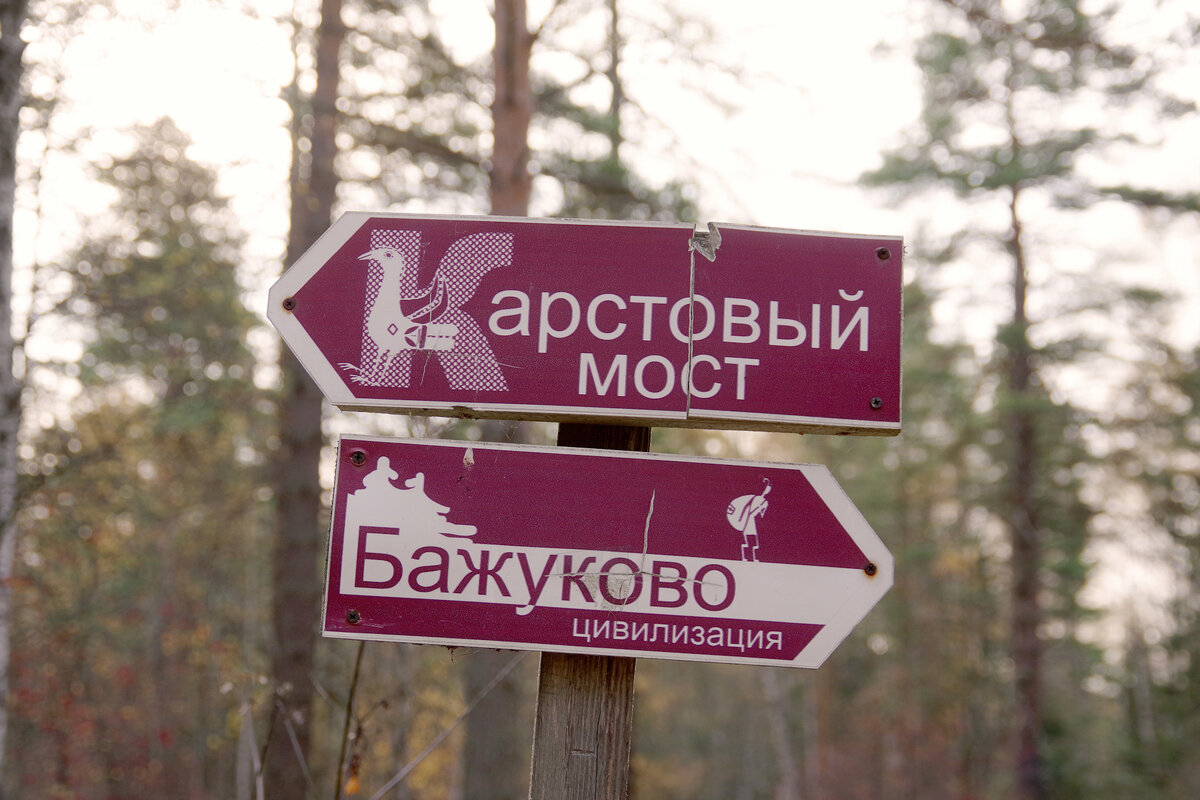 Дорожный указатель