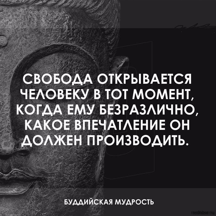 изображение взято с сайта resfeber и в свободном доступе