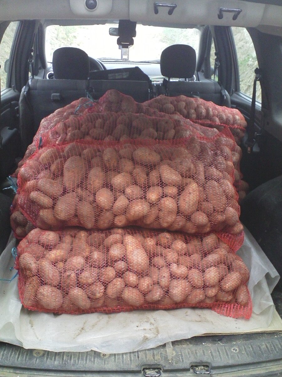 Картошка на продажу. лада Ларгус. Суперрр машина)))