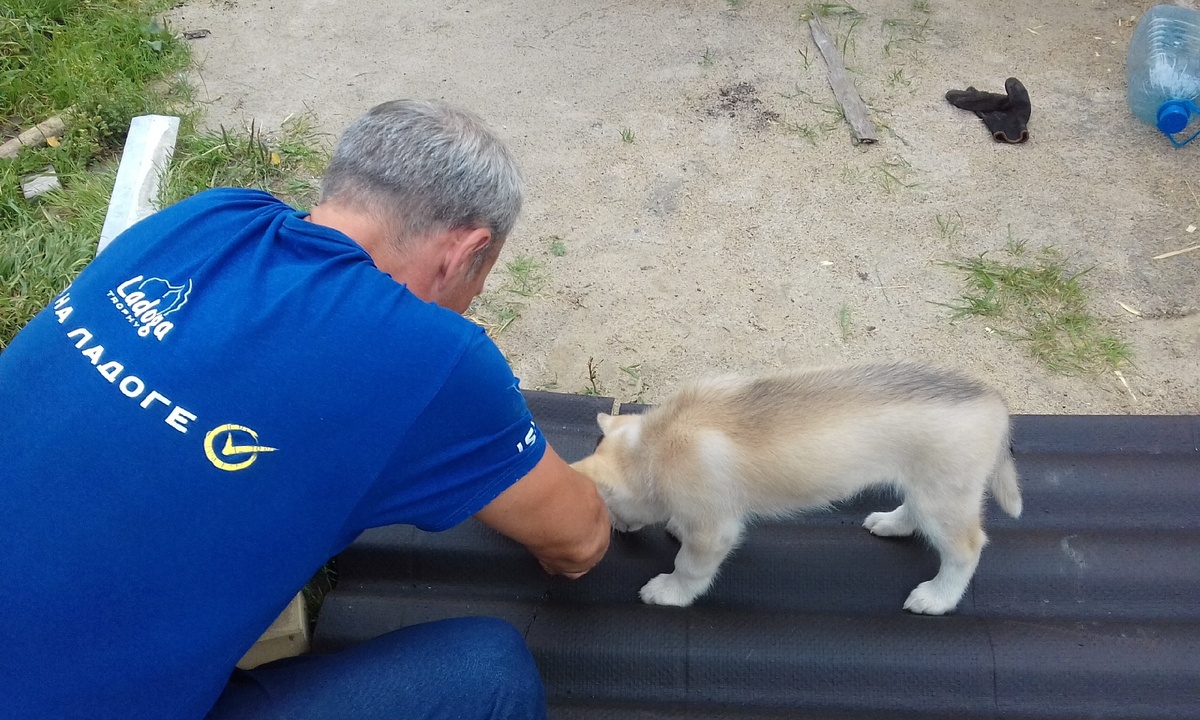 - Мне кажется, ты криво делаешь.