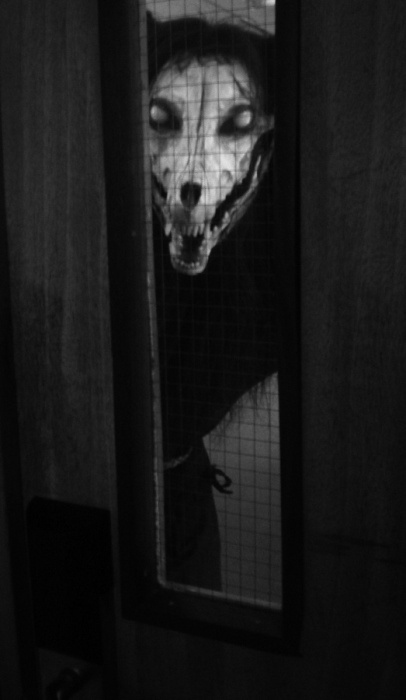 Последнее изображение, принятое SCP-1471-9405, после чего устройство
было выведено из строя.