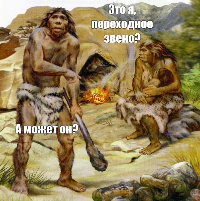 Переходное звено?