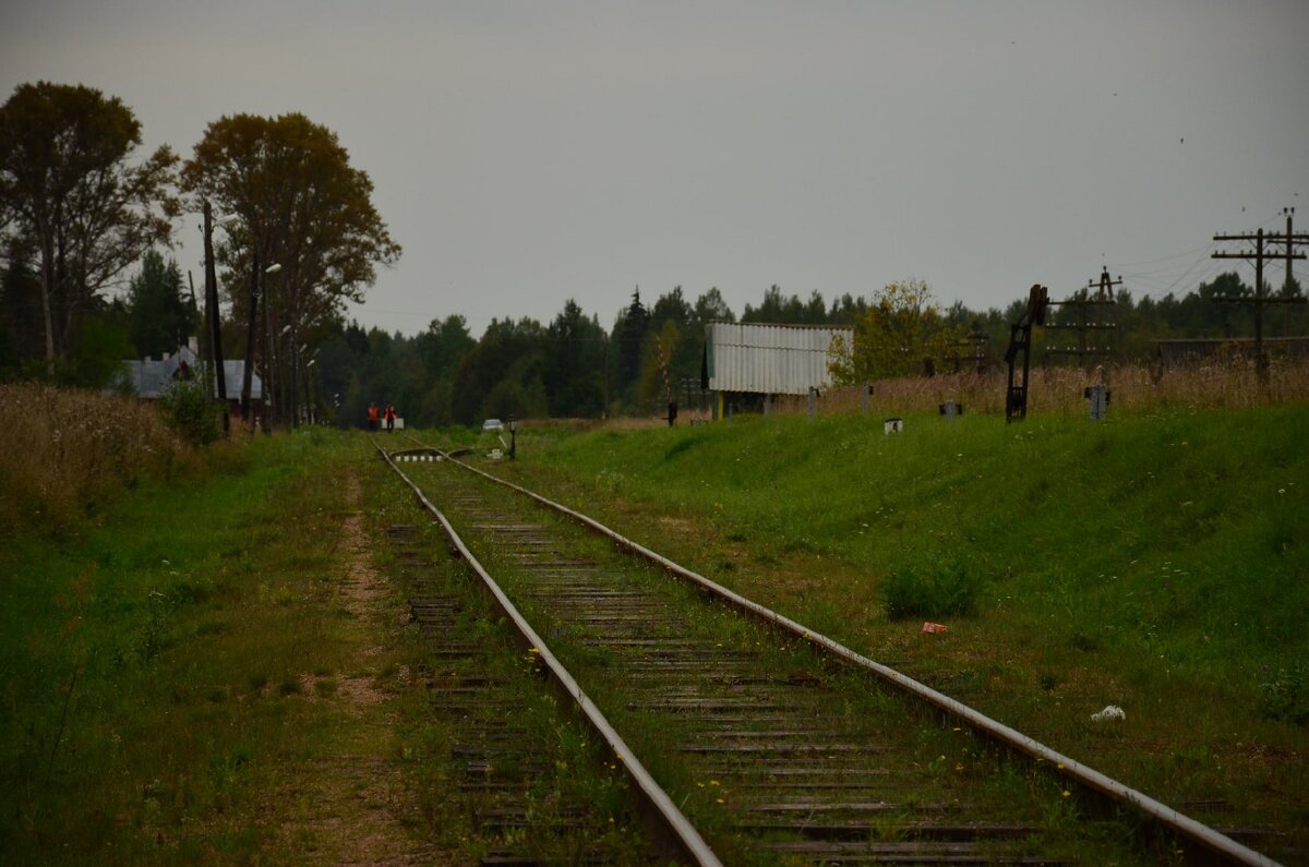 Погода в тверской обл. Деревня Скакулино Селижаровский район. Селижарово Тверь. Москва-Ржев станции. Селижарово 90 годов.