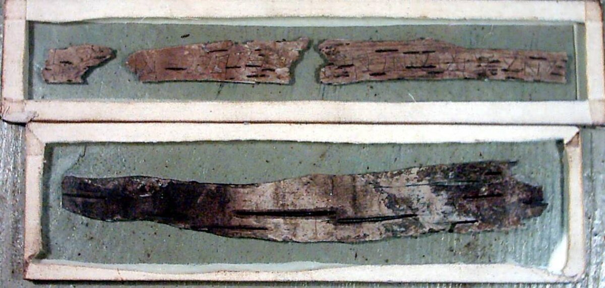 Берестяная  грамота из Звенигорода-Галицкого №1