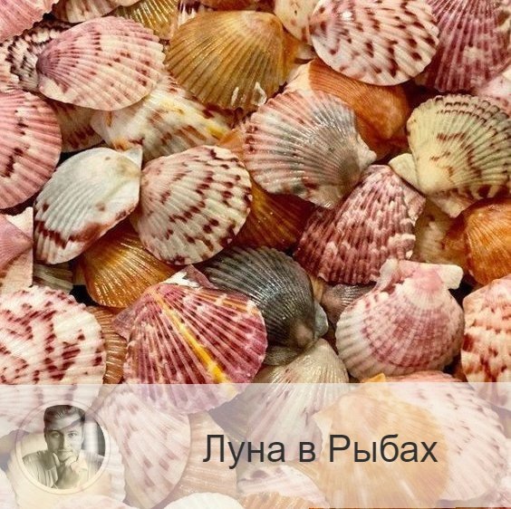 Подписывайтесь и ставьте 👍
Луна в знаке зодиака Рыбы с 07:06 22-ого по 18:05 24-ого. 👥 Луна в рыбах приносит желание, чтобы о нас позаботились и приласкали, поняли и посочувствовали. Настроение становится чувствительным, жалостливым, появляется желание уединится и закрыться от проблем и внешнего мира. Но в это время чаще проявляются таланты и находятся решения старых проблем.
✅ Благоприятный период для финансовых вложений, общения, культурных мероприятий и творческий занятий. Это лучшее время для отдыха и путешествий, для участия в благотворительных акциях, занятия искусством, для посещения церкви, для совместного отдыха на природе, у водоема, рыбалки и посещения бани. Дела, связанные с капиталовложением, идут неплохо. Можно решать юридические, правовые вопросы, начинать судебные тяжбы, обращаться к юристам.
❌ Ощущение реальности ослабевает, поэтому в дела незаметно вкрадываются ошибки и просчеты.
❤️ Луна в Рыбах помогает лучше узнать друг друга, стать ближе. Подходит для новых знакомств.
💊 Усиливается негативное воздействие алкоголя, никотина, лекарств, увеличивается количество отравлений и аллергических реакций.

—————
📝 Услуги и Цены 👉 numeromagic.ru/uslugi