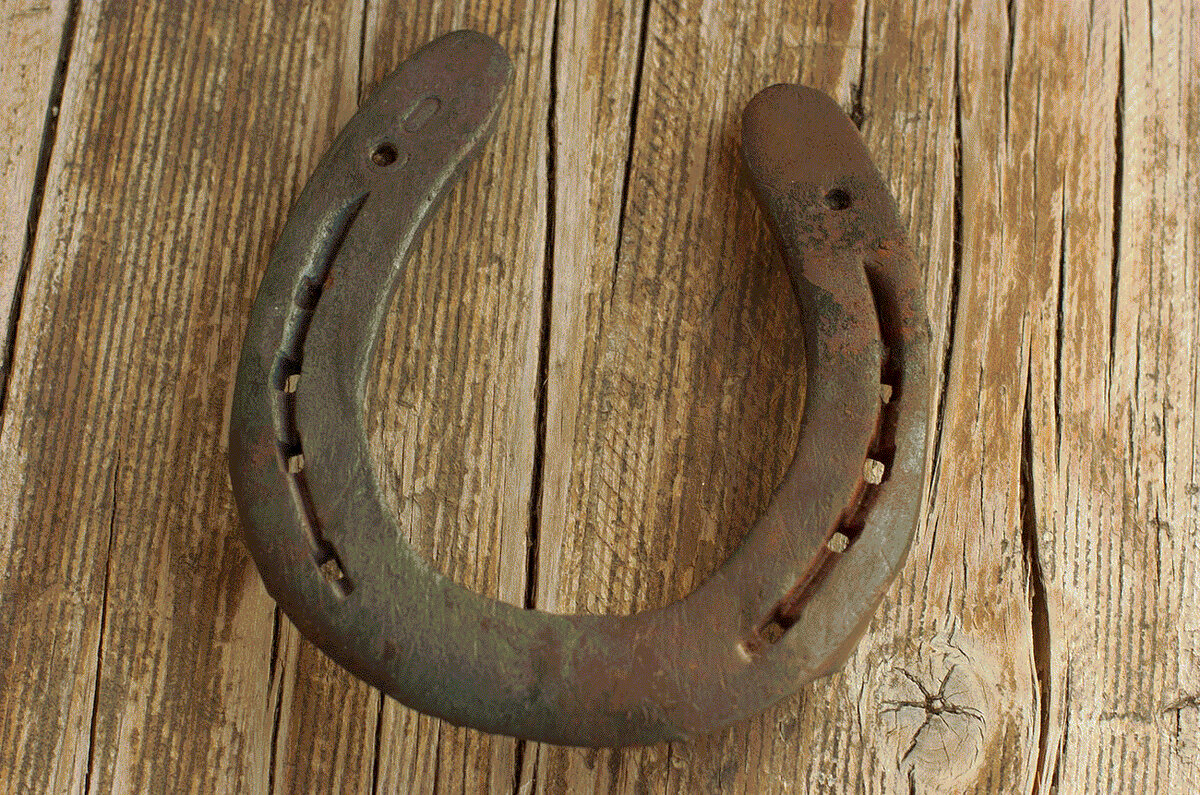 Фотоматериал https://www.factroom.ru/rossiya/pochemu-podkova-schitaetsya-simvolom-udachi 