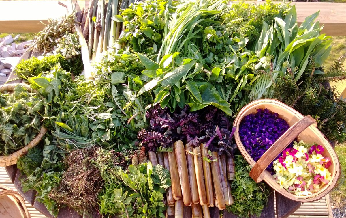 фото из открытого источника