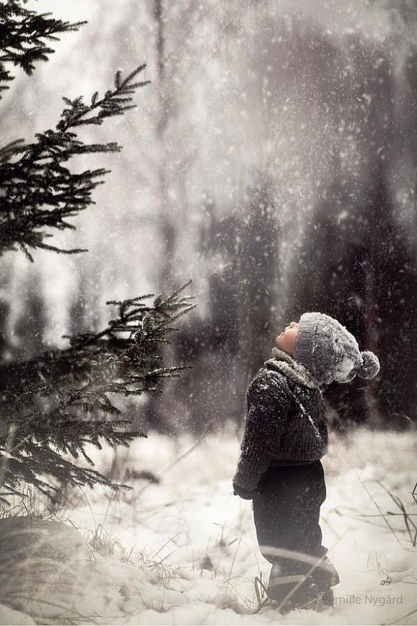 Зима – наиболее холодное из всех времен года. Однако многие ждут ее с нетерпением. Трескучие морозы сковывают льдом реки, образуя каток. Белое снежное покрывало укутывает землю, чтобы она не промерзала. Вся природа на зиму засыпает, деревья освобождаются от листвы, трава засыхает, большинство представителей животного мира прячутся в норы, заготовив запасы, или уходят в зимнюю спячку.

Во дворах жилых домов меняется пейзаж. Появляется множество ледяных горок. Замечательное занятие – катание на санках или на подстилках с такой горки. Только шум стоит от радостных возгласов детворы. Кое-где проложена лыжня. Ходьба на лыжах – занятие не для слабаков, здесь необходимы определенные навыки и физическая подготовка.

