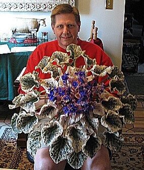 Фото из сети                                                                                                                                                                                       Если этот процесс не контролировать, то места для других цветов может вообще не хватить. А какой ширины подоконник нужен? Ну есть любители покормить побольше и пожирнее. Горшочек - поогромнее, удобрение - почаще, света - поярче. Можно сравнить с теми, кто держит кошек и собак. Как в известной песенке:                                                                