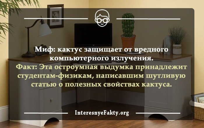 В Парагвае официально разрешена дуэль, при условии, если оба дуэлянта являются донорами крови.