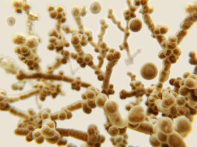 Источник - istockphoto.com