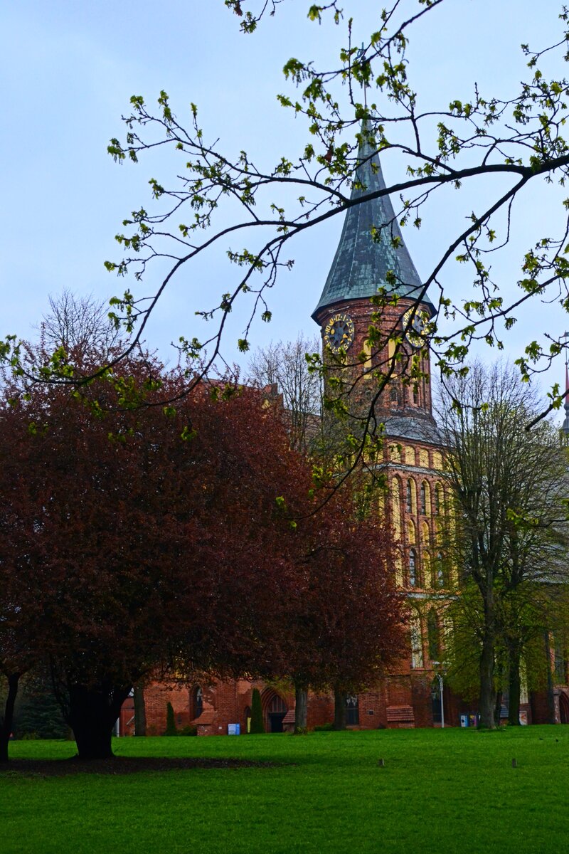 Кафедральный собор