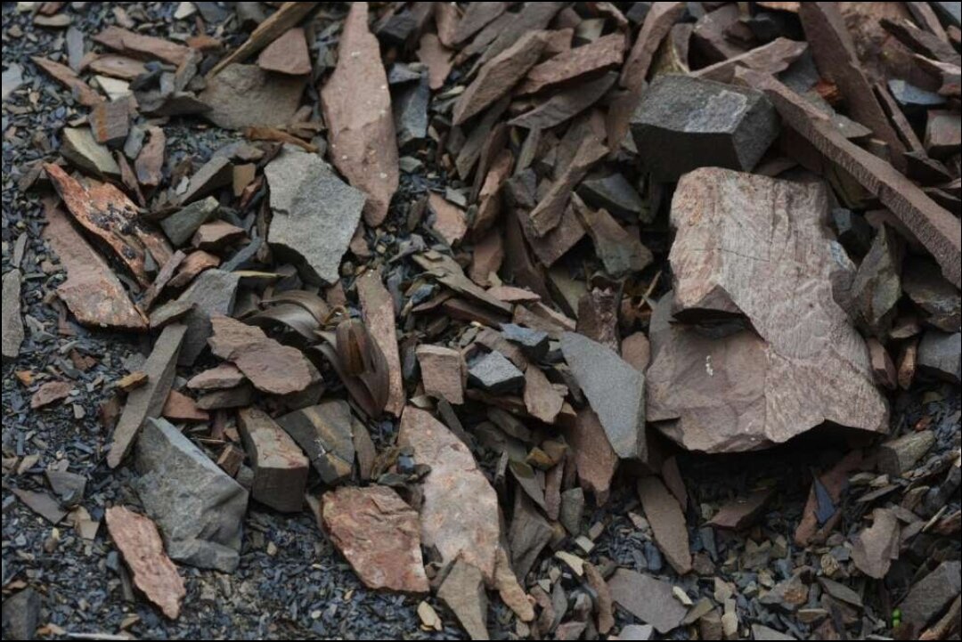 Фото: scitechdaily.com