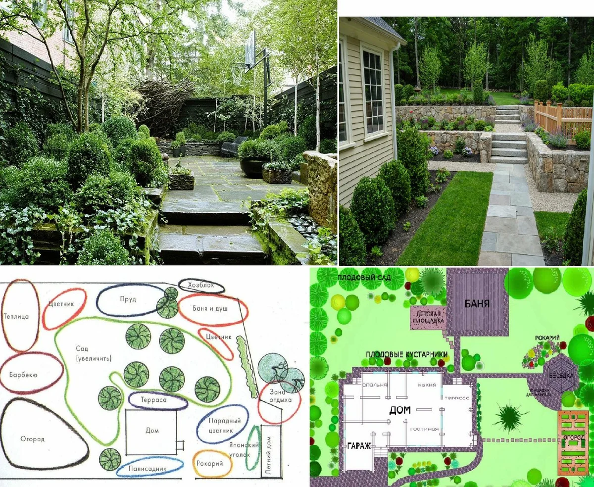 Фото взято из галереи "Яндекс-картинки" . Зоны. 