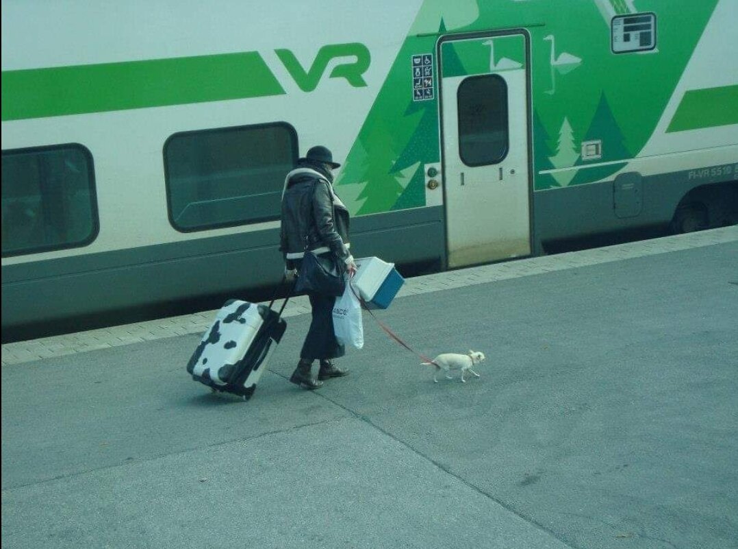 Из Санкт-Петербурга нас довезёт быстро и комфортно поезд Лев Толстой. Ехать всего около 5 часов. На фото не я, и пёсик не мой :)