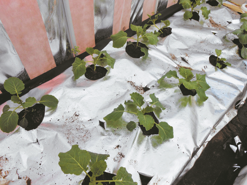 Лайфхаки для дома