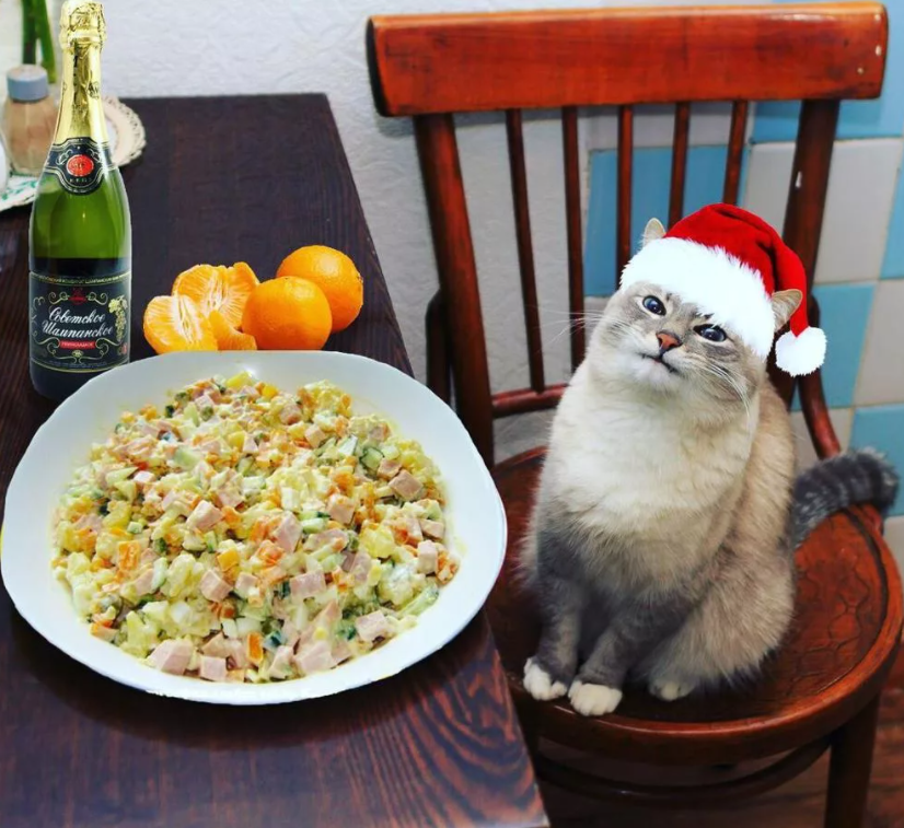 из открытых источников